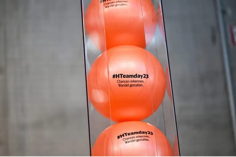 Go.Control-Cases-H-Teamday7